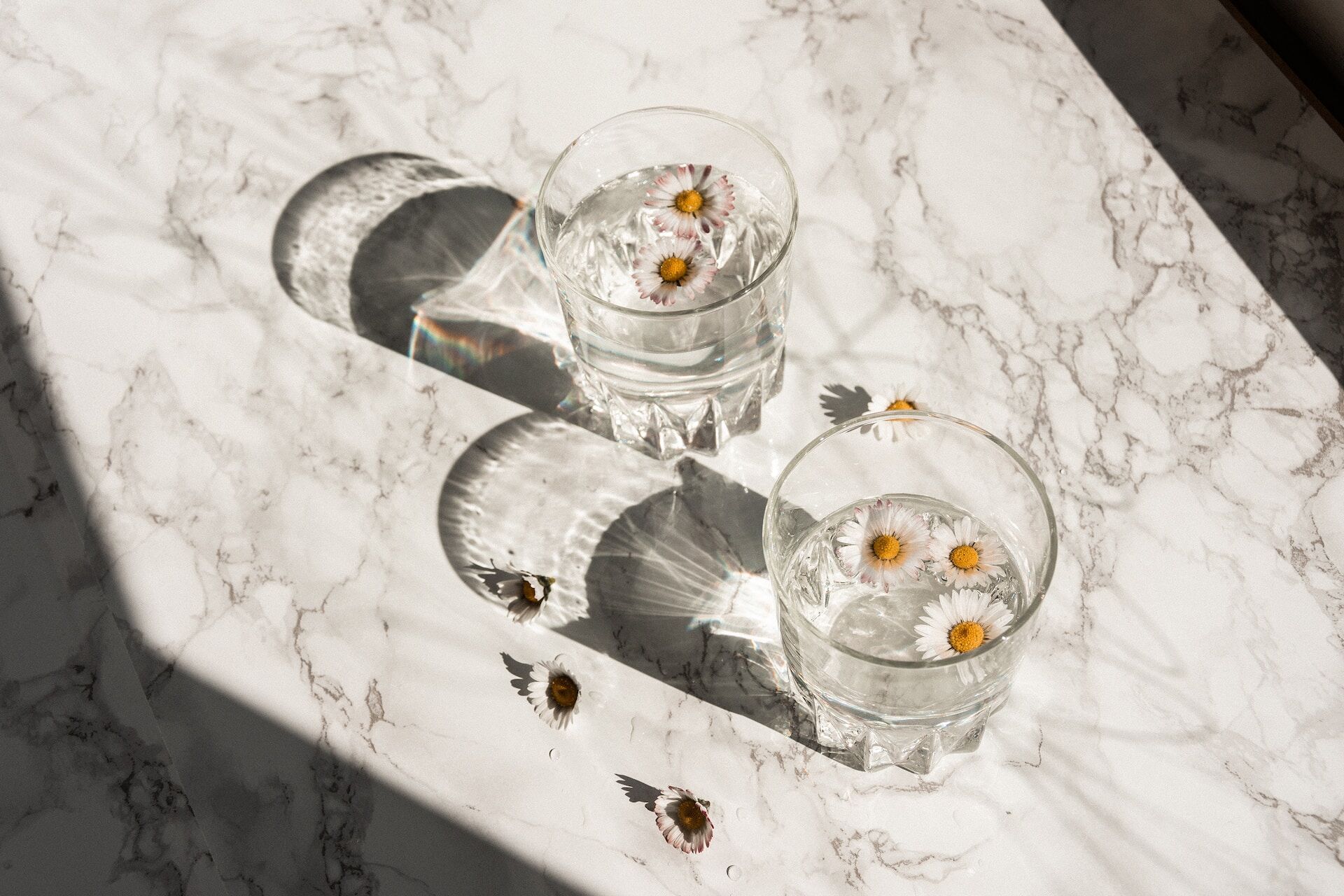 Two glasses with daisies on a white marble surface casting shadows