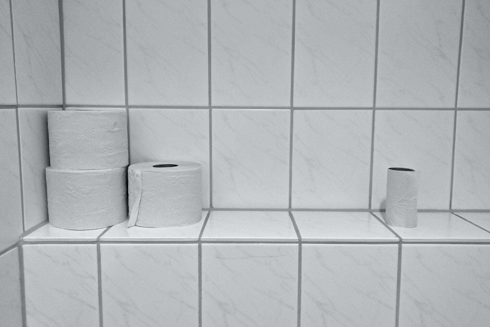 White porcelain tiled bathroom wall with toilet paper rolls on a shelf