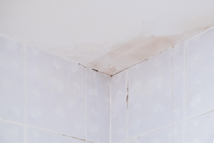 Bathroom corner with mold growth on ceiling and grout lines between tiles